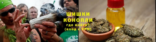 прущий лед Дмитриев