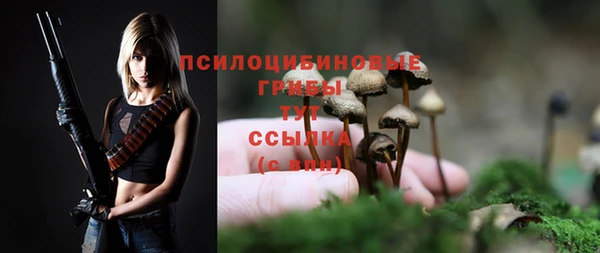 герыч Дмитров