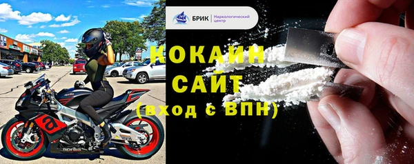 прущий лед Дмитриев