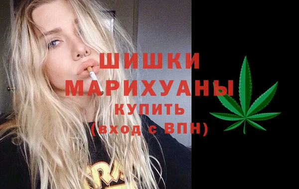 прущий лед Дмитриев