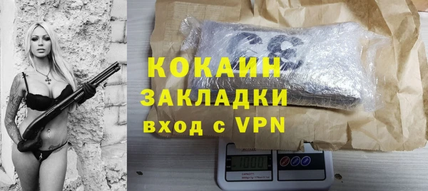 прущий лед Дмитриев