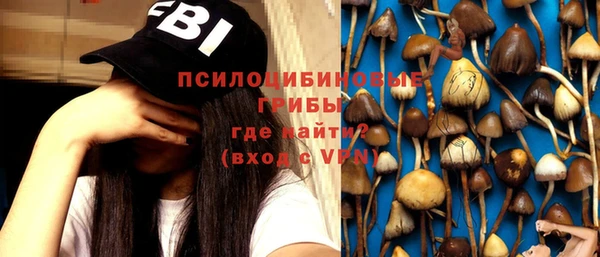 герыч Дмитров